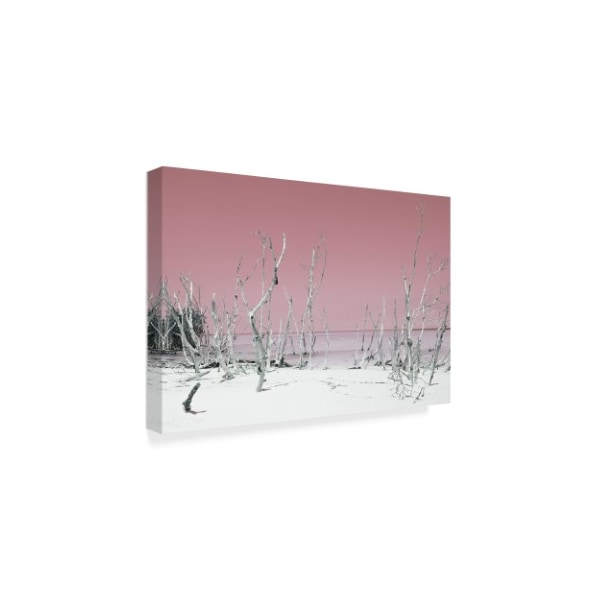 Philippe Hugonnard 'Wild White Sand Beach Pastel Pink' Canvas Art,16x24